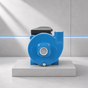 ปั๊มน้ำแรงดันสูงแบบแรงเหวี่ยงเฟสเดียว Yinjia JS100 OEM 1KW สำหรับการชลประทานทางการเกษตร อัตราการไหล 160 ลิตร/นาที ระยะ<span class=keywords><strong>ดูด</strong></span>น้ำ 8 เมตร - Product Image 6