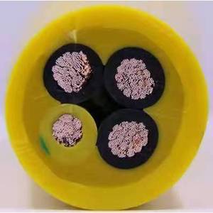 Câbles de puissance nucléaire résistants aux radiations conformes aux normes nationales spécifiques aux sous-stations avec 1 an de garantie - Product Image 1