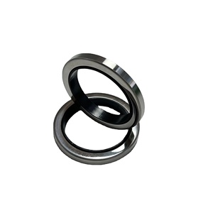 ซีลน้ำมันเพลาหมุนแบบโลหะ Manny ขนาด 80x100x10 มม. ผลิตจากยางมาตรฐานเมตริก สำหรับคอมเพรสเซอร์อุตสาหกรรม - Product Image 4