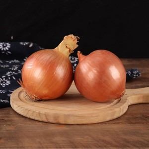 Nouvelle récolte d'oignons jaunes violet jaune <span class=keywords><strong>échalote</strong></span>s fraîches pelées <span class=keywords><strong>prix</strong></span> de gros exportation de légumes pour la plantation d'agriculteurs - Product Image 6