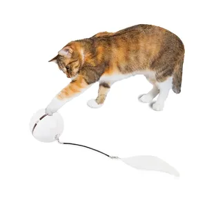 AFP 인터랙티브 스마트 롤링 레이저 공 고양이 장난감 자동 USB 충전식 LED 라이트 전자 고양이 장난감 공