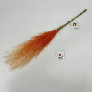 Tutti i colori più recenti Mini Faux <span class=keywords><strong>Pampas</strong></span> <span class=keywords><strong>la</strong></span> pampa artificiale erba vendita calda per <span class=keywords><strong>la</strong></span> casa o artificiale <span class=keywords><strong>Pampas</strong></span> parete utilizzando - Product Image 4