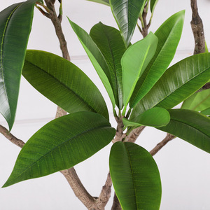 Árbol de Frangipani Artificial, Planta Verde Grande, Alta Simulación, Bonsái Decorativo para Interiores, Regalo de Inauguración de Casa - Product Image 3