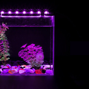 Lumière LED submersible <span class=keywords><strong>pour</strong></span> <span class=keywords><strong>aquarium</strong></span> 3,5W-10W, lumière LED sous-marine <span class=keywords><strong>pour</strong></span> paysage, <span class=keywords><strong>pour</strong></span> arowana, poissons rouges - Product Image 5