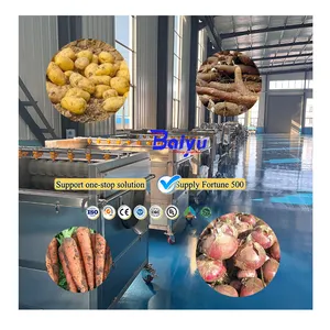 Machine à éplucher les fruits et légumes Baiyu Éplucheur de racines de tubercules pratique pour le lavage du manioc Usine de traitement des oignons et des pommes de terre