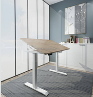 Aoke Double Professional Fashion gamer table d'ordinateur bureau de jeu pour bureau à domicile bureau électrique