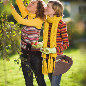Bolsa de recolección de frutas para exteriores, bolsa de almacenamiento impermeable montada en la cintura, equipo de recolección de frutas, uso Unisex para acampar - Product Image 2