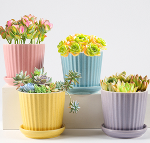 Pots à fleurs en porcelaine émaillée nordique, directement de l'usine, avec trou de drainage et soucoupe intégrée, 4 pouces, design rayé, pour maison et <span class=keywords><strong>jardin</strong></span> contemporains - Product Image 1