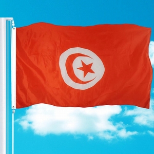 Commerci all'ingrosso fabbricazione poliestere Tunisia bandiera nazionale stampata tazza europea esterna doppia cucitura 3x5 bandiera della turchia - Product Image 3