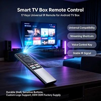 Pabrik OEM ODM Remote Control TV Box Android Pintar Universal 17 Tombol, Pengendali Jarak Jauh Nirkabel IR untuk Semua Merek TV