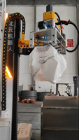 Robot colonne pour le dépalettisage de sachets de sirop de glucose/maltose, bras robotisé, 25 kg/sachet, 100 sachets/h, qualité alimentaire, option antidéflagrante, PLC