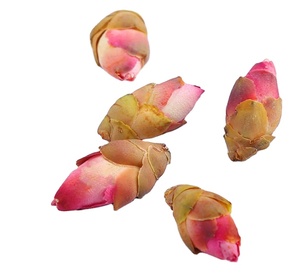 ชาดอกพลัมแห้งจากจีน ขายส่ง กลิ่นหอม ชาดอกพลัมพันธุ์ Persica สำหรับขาย - Product Image 2