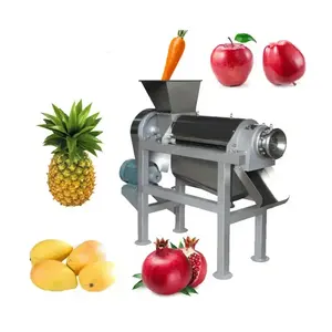 Industrial 304 stainless steel fruit and vegetable juice press extractor apple juice cold press machine grape juicer screw press