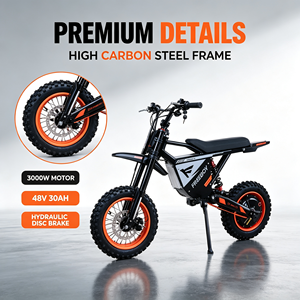 Bicicleta Deportiva de Montaña con Motor Central sin Escobillas de 3 Velocidades, Batería de Litio, Doble Suspensión, Alta Velocidad, Y66, Motor Central de 3 Velocidades - Product Image 3
