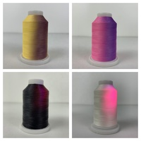 Lot de 20 cônes de fil à broder en polyester 150D/2 anti-contrefaçon à changement de couleur OEM