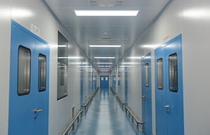 Commercio all'ingrosso della fabbrica di natura Ganoderma lucidum organico Ganoderma lucidum spore in polvere con <span class=keywords><strong>EU</strong></span> organico - Product Image 6