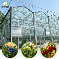 Serre agricole multi-travées en acier galvanisé moderne de type Venlo pour la culture hydroponique de légumes de grande envergure