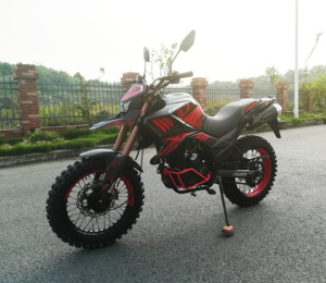 China 125cc 200cc <strong>250cc</strong> EEC <strong>Motorcycles</strong> FUEGO TEKKEN250 FUEGO <strong>Motorcycle</strong> Cheap for Sale 11190113 - Product Image 5