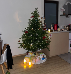 <span class=keywords><strong>Guirlande</strong></span> de lumières d'arbre de Noël télécommandée Fil vert Fil de cuivre <span class=keywords><strong>Guirlande</strong></span> d'étoiles <span class=keywords><strong>Ciel</strong></span> <span class=keywords><strong>étoilé</strong></span> Plante verte <span class=keywords><strong>Guirlande</strong></span> de Noël - Product Image 6