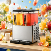 Machine portable de traitement des boissons en acier inoxydable, extracteur de jus pour la production de vin de raisin et de fruits, 220V