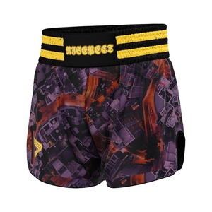 Pantalones Cortos de Kickboxing Ligeros de Alta Calidad, Pantalones Cortos de Entrenamiento de Muay Thai de Satén para Gimnasio y MMA, Personalizables con Servicio OEM - Product Image 1