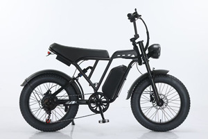 Bicicletta <span class=keywords><strong>Elettrica</strong></span> TST R002 con Pneumatici Fat da 20 Pollici, 750W 1500W, Sospensione Completa, 7 Velocità, Stile Retrò Moped, <span class=keywords><strong>Bici</strong></span> Fuoristrada - Product Image 3