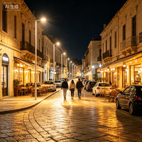 Éclairage public LED personnalisé 300W haute puissance, protection IP66 au niveau du système, OEM/ODM avec garantie de 5 ans et télécommande