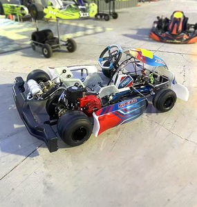 Karts de course à moteur à essence 4 temps 225cc personnalisables à grande vitesse pour enfants et adultes - Product Image 6