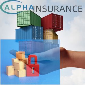 บริการขนส่งสินค้าทางอากาศด่วน EXW FCA FOB DDP DAP FAS FBA จากประเทศจีนไปยังเวียนนา ประเทศออสเตรีย ด้วยการขนส่งทางอากาศ พร้อมบริการคลังสินค้า ประกันภัย และจัดส่ง - Product Image 6