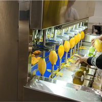 Industriële PLC-gestuurde hoog-efficiënte SUS 304 roestvrijstalen schilmachine voor mango, aardappel en gedroogd fruit, CE Gofun gecertificeerd