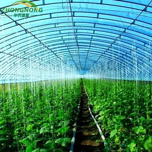 <span class=keywords><strong>Serre</strong></span> tunnel en film plastique PE double couche à simple travée, <span class=keywords><strong>serre</strong></span> agricole pour la culture de légumes - Product Image 5