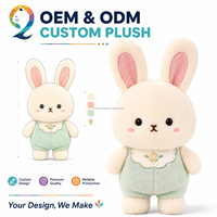 Animaux en peluche personnalisés, poupées en coton Kpop, peluches personnalisées, personnages d'anime, jouets en peluche sur mesure