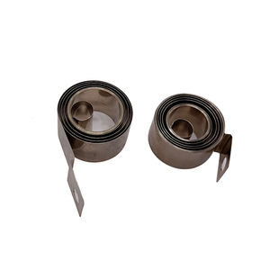 Paslanmaz çelik 301 esnek <span class=keywords><strong>spiral</strong></span> burulma yayı sabit kuvvet yayı - Product Image 5