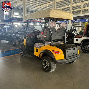 Véhicule <span class=keywords><strong>de</strong></span> <span class=keywords><strong>golf</strong></span> miniature 2 places en promotion avec sièges réglables pour villas <span class=keywords><strong>de</strong></span> vacances et buggy <span class=keywords><strong>de</strong></span> loisirs - Product Image 4