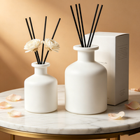 Bouteille en verre vide unique pour diffuseur, blanche, 50 ml, 100 ml, 250 ml, flacon pour bâtonnets de parfum pour diffuseur