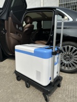Refport nouvelle voiture Mini réfrigérateur 12V DC -60 degrés 25L Portable Ultra basse température congélateur