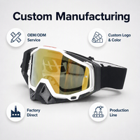 Personnalisé en stock lunettes de motocross de haute qualité détachable personnalisé en gros hors route Dirt Bike lunettes OEM lunettes de moto