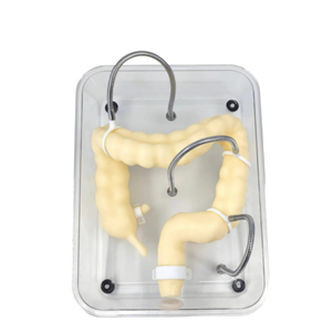 แบบจำลองการฝึกส่องกล้องตรวจลำไส้ใหญ่ทางวิทยาศาสตร์การแพทย์ อวัยวะลำไส้ใหญ่จำลองแบบนุ่มสำหรับการสอน - Product Image 1