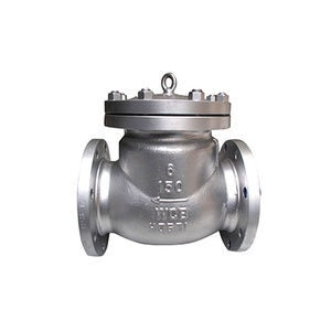 Válvula de Retención de Columpio de Acero al Carbono WCB de 12 Pulgadas, 150 LB, Brida RF, Envío Gratis, Suministro de Fábrica - Product Image 4