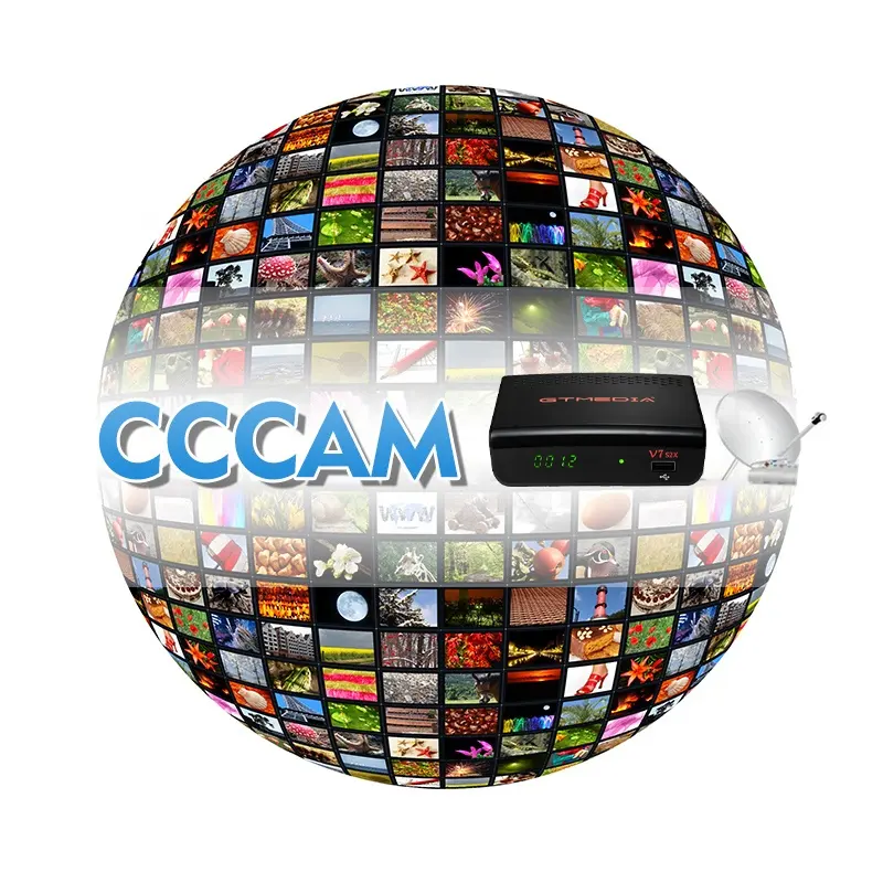 10 Uds Europa 8 líneas CCcam Oscam Panel Egygold Polonia Cable adecuado para Eslovaquia Alemania receptor de TV satelital compatible con T gratis