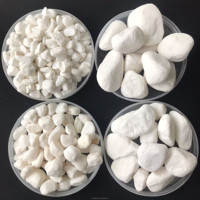 Petites Pierres Blanches Flocon de Neige pour Succulentes en Pot, Projet d'Aménagement Paysager de Bassin à Poissons en PE Fabriqué à la Machine, Décoration de Pavage Extérieur