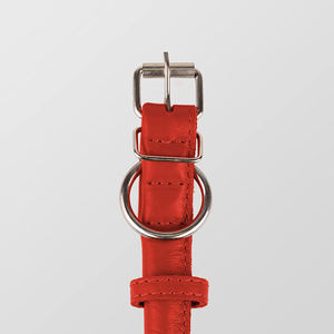 Collar Qbellpet de Cuero Suave y Redondeado, Collar de Cuero de Lujo Hecho a Mano, Collar de Cuero Genuino para Perros Pequeños, Medianos y Grandes - Product Image 2