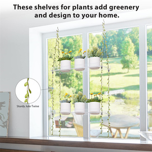 <span class=keywords><strong>Étagère</strong></span> murale à fleurs suspendue moderne à 3 niveaux pour salon, <span class=keywords><strong>étagère</strong></span>s flottantes pour jardin d'intérieur, <span class=keywords><strong>étagère</strong></span> à plantes murale en acrylique transparent robuste - Product Image 6