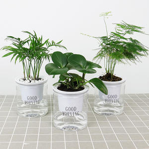 Clair Intérieur <span class=keywords><strong>Paresseux</strong></span> Automatique Pots D'eau En Plastique Pot De Fleur Décoratif Pot De Plante Auto Arrosage Planteur - Product Image 2