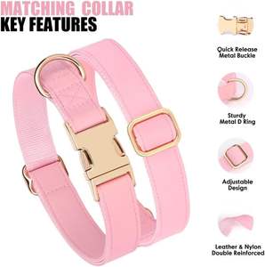 PET ARTIST Soft PU Hunde halsband & Leine Set für kleine Hunde-Stylish 5ft Pink, Schnell verschluss, Größe S (9-14 ") - Product Image 4