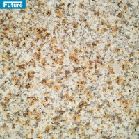 Carreaux de dalles de granit jaune flammé poli naturel pour panneau mural extérieur Carreaux de piscine Escalier Comptoir de cuisine