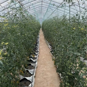 Bolsas de Plástico Negras Reutilizables de 22L para Plantas, Macetas para Cultivo en Exteriores, para Pepinos, Tomates, Flores, Capacidad Personalizable en Galones - Product Image 6