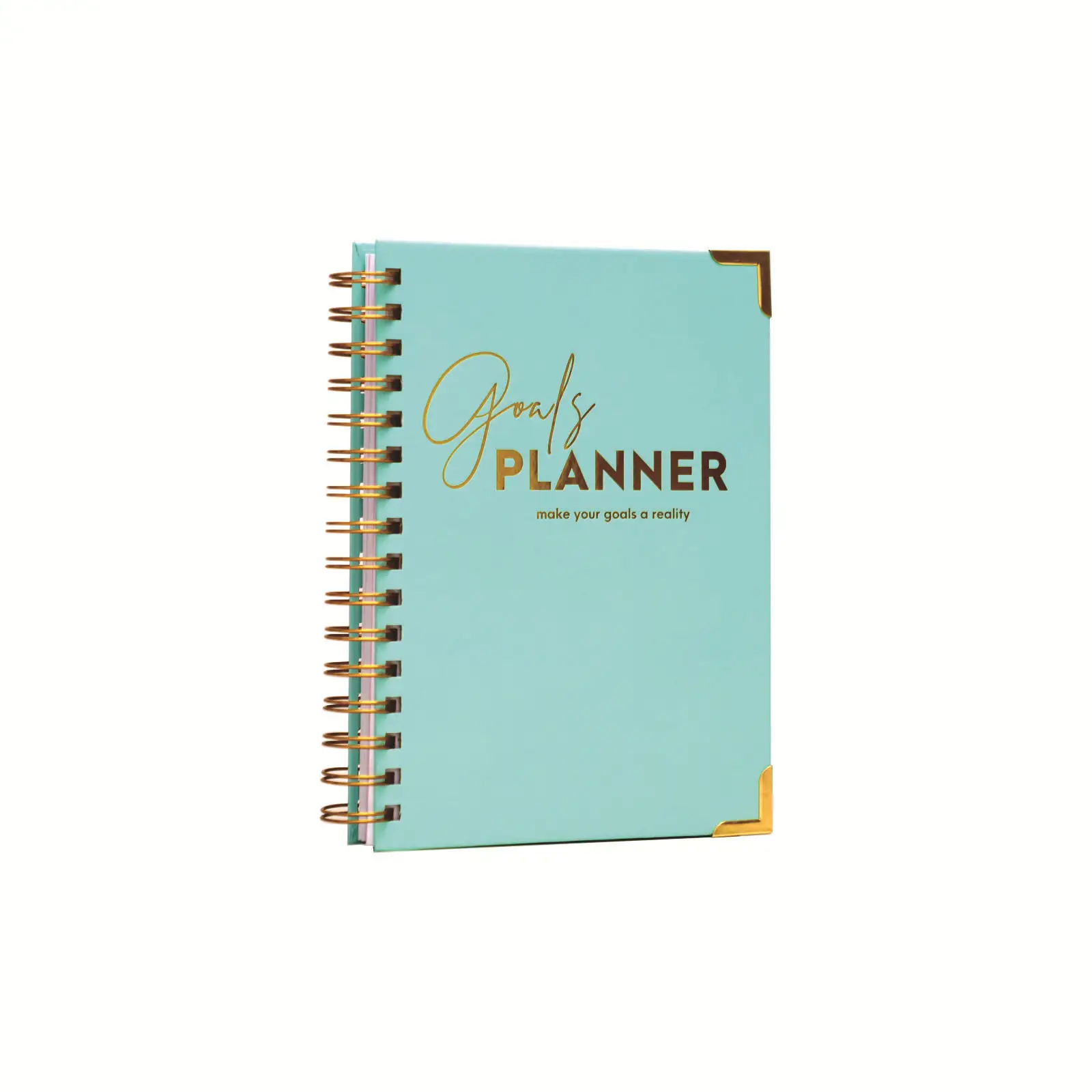 Logo personalizzato Notebook 2024 Planner ragazze blu Planner benessere planner stampa personalizzata con adesivi