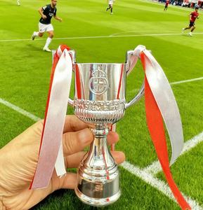 Trofeo <span class=keywords><strong>di</strong></span> <span class=keywords><strong>Calcio</strong></span> in Argento, Incisione Personalizzata e Nastri, Varie Misure, Ordini all'Ingrosso e Personalizzati per Premi Sportivi - Product Image 3
