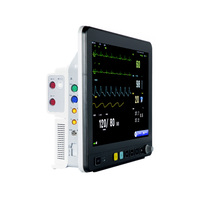Moniteur patient vétérinaire grand écran LCD 15 pouces pour hôpital vétérinaire, chirurgie, soins intensifs, ECG, NIBP, SpO2, EtCO2, moniteur cardiaque